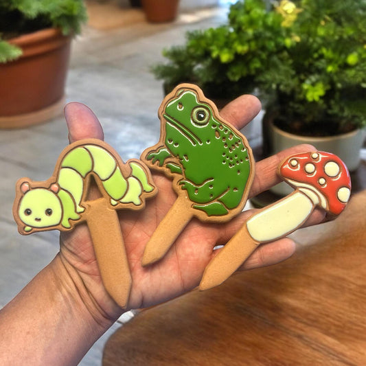 House Plant Pals