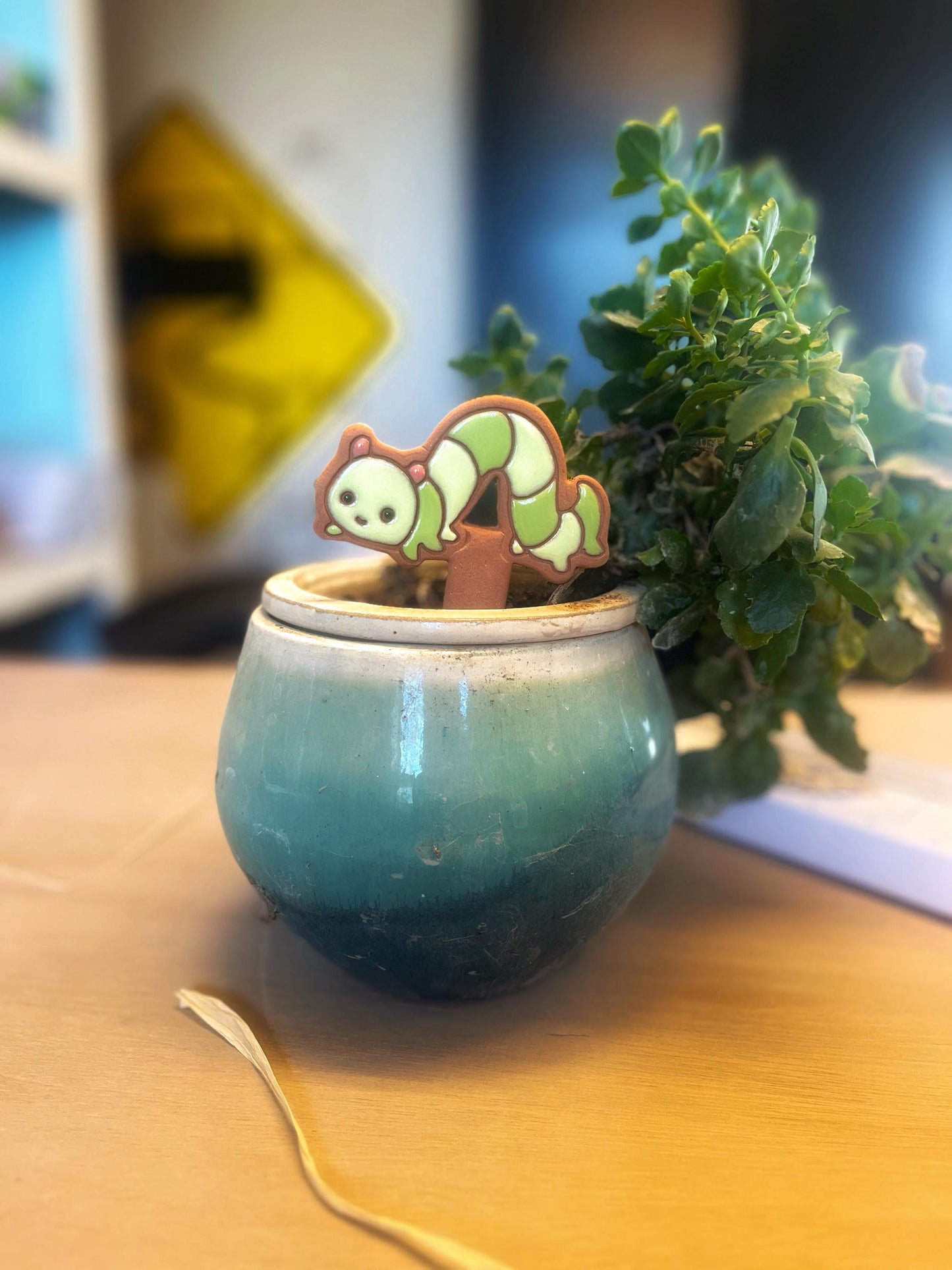 House Plant Pals